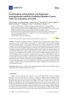 Combination of Decitabine and Entinostat Synergistically Inhibits Urothelial Bladder Cancer Cells Via Activation of Foxo1