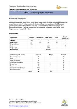 WGL Eucalyptus Globulus Wet Forest