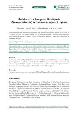 Revision of the Fern Genus Orthiopteris (Saccolomataceae)