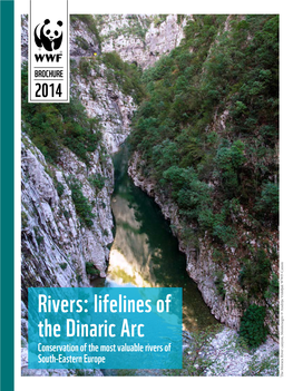 Rivers: Lifelines of the Dinaric