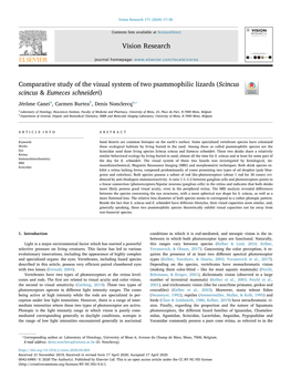 Comparative Study of the Visual System of Two