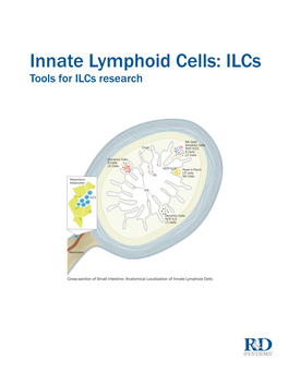 Innate Lymphoid Cells: Ilcs Tools for Ilcs Research