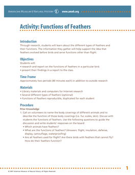 Activity: Functions of Feathers