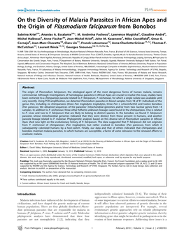 The Origin of Plasmodium Falciparum from Bonobos