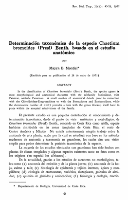 Determinación Taxonómica De La Especie Chaetium Bromoides