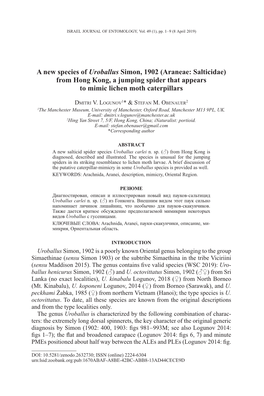 New Species of Uroballus (Araneae: Salticidae) from Hong Kong