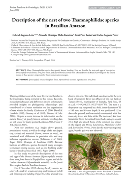 Description of the Nest of Two Thamnophilidae Species in Brazilian Amazon