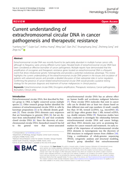 Current Understanding of Extrachromosomal Circular DNA In