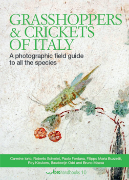 Grasshoppers Sfoglia Volume.Pdf