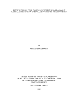 University of Florida Thesis Or Dissertation Formatting