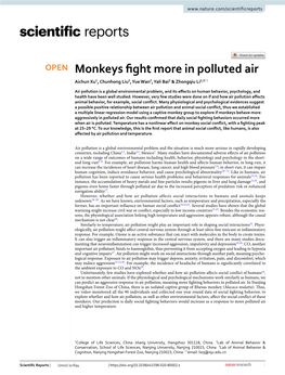 Monkeys Fight More in Polluted