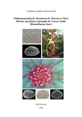 Palinotaxonomia De Alcantarea (E. Morren Ex Mez) Harms, Um Gênero Segregado De Vriesea Lindl. (Bromeliaceae Juss.)