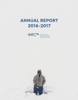 Annual Report 2016-2017 ENG 25-09-2018