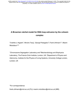 A Brownian Ratchet Model for DNA Loop Extrusion by the Cohesin Complex