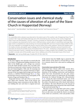 Conservation Issues and Chemical Study of The