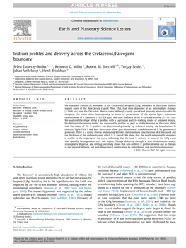 Iridium Profiles and Delivery Across the Cretaceous/Paleogene Boundary