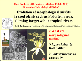 Relationship of Plant Morphology to Plant Systematics, Ecology, Genetics