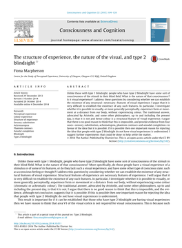 The Structure of Experience, the Nature of the Visual, and Type 2 Blindsight Q