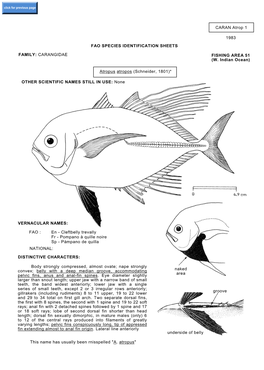 Atropus Atropos (Schneider, 1801)*