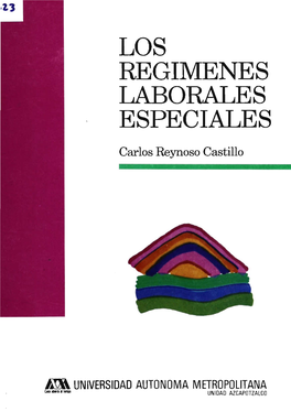 Los Regimenes Laborales Especiales / Carlos Reynoso Castillo