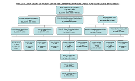 Organisation Chart of Agriculture Department(Crop Husbandry and Research & Eudcation)