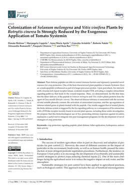 Colonization of Solanum Melongena and Vitis Vinifera Plants by Botrytis Cinerea Is Strongly Reduced by the Exogenous Application of Tomato Systemin