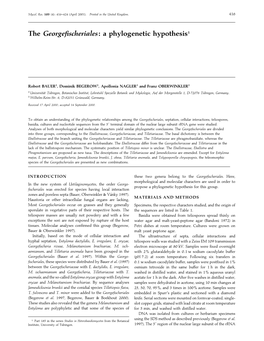 The Georgefischeriales: a Phylogenetic Hypothesis1