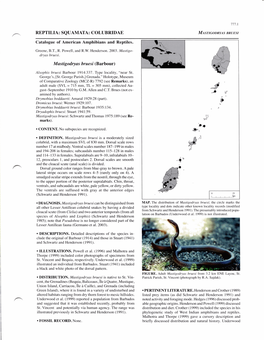 REPTILIA: SQUAMATA: COLUBRIDAE Mastigodryas Bruesi