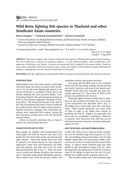 Wild Betta Fighting Fish Species in Thailand and Other Southeast Asian