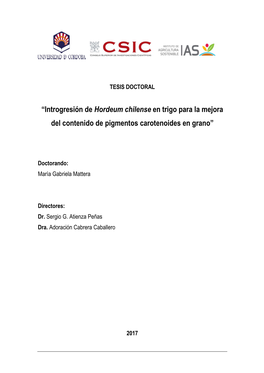 Introgresión De Hordeum Chilense En Trigo Para La Mejora Del Contenido De Pigmentos Carotenoides En Grano”