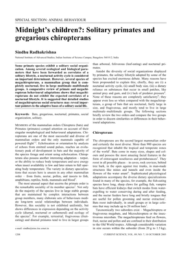 Midnight's Children?: Solitary Primates and Gregarious Chiropterans