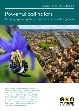 Powerful Pollinators Encouraging Insect Pollinators in Urban Environments & Gardens