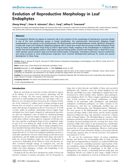 Evolution of Reproductive Morphology in Leaf Endophytes