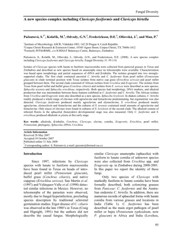 A New Species Complex Including Claviceps Fusiformis and Claviceps Hirtella