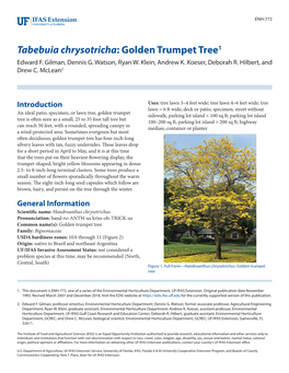 Tabebuia Chrysotricha: Golden Trumpet Tree1 Edward F