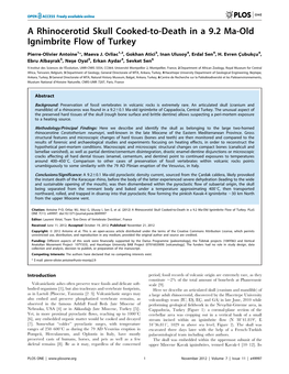 A Rhinocerotid Skull Cooked-To-Death in a 9.2 Ma-Old Ignimbrite Flow of Turkey