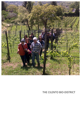 The Cilento Bio-District