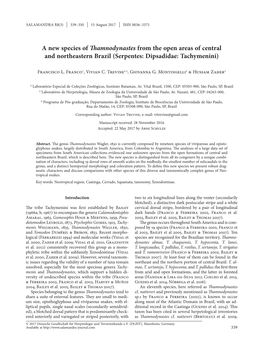 A New Species of Thamnodynastes from the Open Areas of Central and Northeastern Brazil (Serpentes: Dipsadidae: Tachymenini)