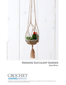 HANGING SUCCULENT GARDEN Dana Bincer