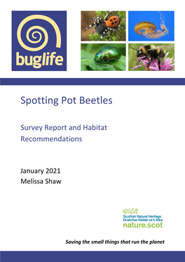 Spotting Pot Beetles