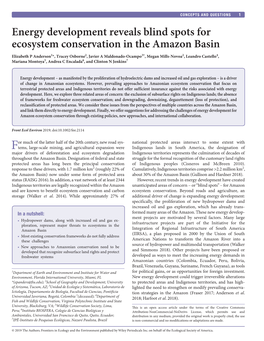 Energy Development Reveals Blind Spots for Ecosystem Conservation in the Amazon Basin