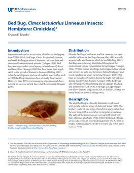 Bed Bug, Cimex Lectularius Linneaus (Insecta: Hemiptera: Cimicidae)1 Shawn E