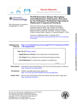 MAFB Determines Human Macrophage Anti-Inflammatory
