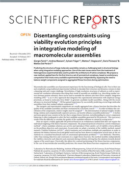 Disentangling Constraints Using Viability Evolution Principles In