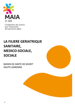 La Filiere Geriatrique Sanitaire, Medico-Sociale, Sociale