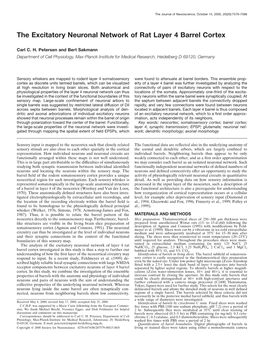 The Excitatory Neuronal Network of Rat Layer 4 Barrel Cortex