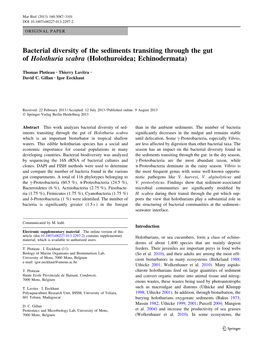 Bacterial Diversity of the Sediments Transiting Through the Gut of Holothuria Scabra (Holothuroidea; Echinodermata)