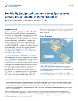 Apocephalus Borealis Brues (Insecta: Diptera: Phoridae)1 Nicole A