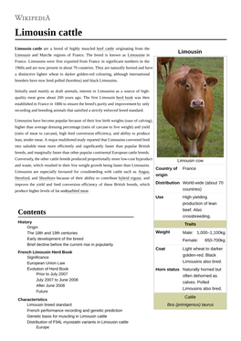 Limousin Cattle