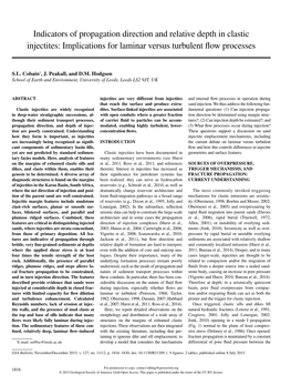 Indicators of Propagation Direction and Relative Depth in Clastic Injectites: Implications for Laminar Versus Turbulent Flow Processes